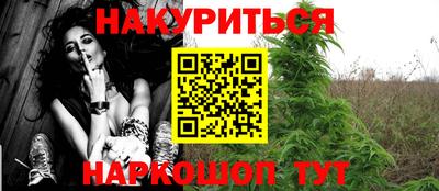 сатива Кинель