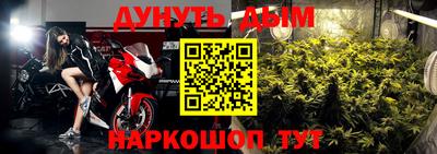 сатива Кинель