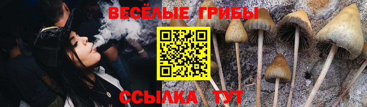 Балашов  Галлюциногенные грибы мухоморы  Вход с VPN  Галлюциногенные грибы Magic Shrooms 
